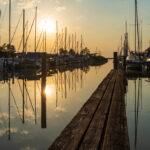 Pannonien – Musik, Wind, Gelsen