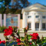 Picture walk in Baden