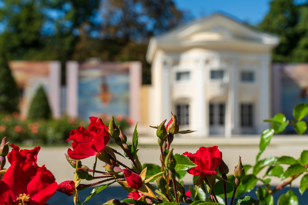 Picture walk in Baden
