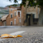 Windmühle, Olivenmühle und Regengüsse – Mallorcas Charme abseits des Massentourismus