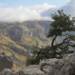 Von Llucs spirituellem Morgen bis zu den verborgenen Buchten Mallorcas – Eine Reise durch Klöster, Künstlerdörfer und historische Gassen