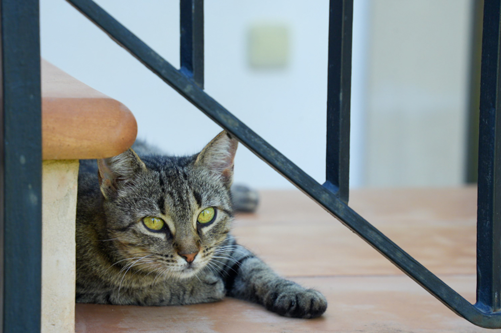 Ein Tag zwischen Leuchtturm, Lost‑Place und Stränden – Portocolom, El Ponderosa, Cala Figuera, Cala Santanyí & Cala d’Or