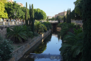 Image gallery image