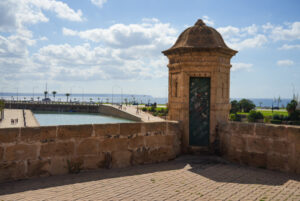 Image gallery image