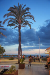 Image gallery image