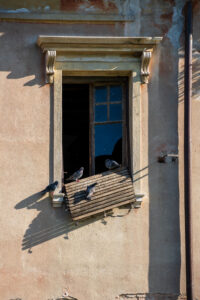 Image gallery image
