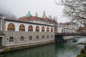 Image gallery image