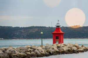 Image gallery image