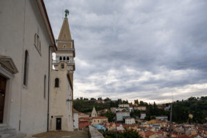 Image gallery image