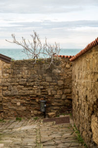 Image gallery image