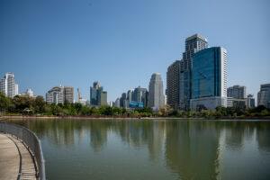 Image gallery image