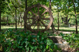 Image gallery image