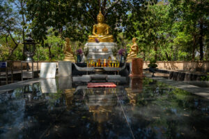 Image gallery image