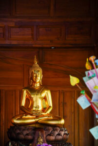 Image gallery image