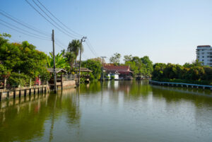 Image gallery image