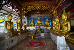 Image gallery image