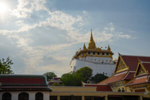Image gallery image