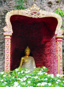 Image gallery image
