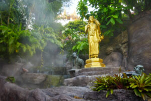 Image gallery image