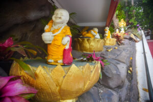 Image gallery image