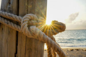 Image gallery image