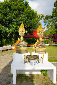 Image gallery image