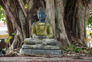 Image gallery image