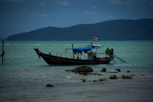 Image gallery image