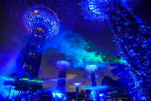 Image gallery image