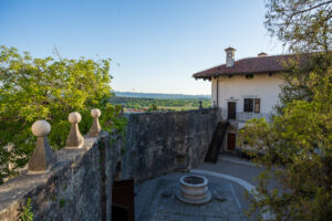 Image gallery image