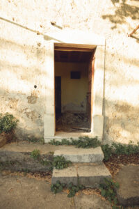 Image gallery image