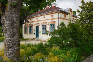 Image gallery image