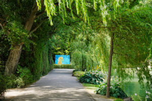 Image gallery image