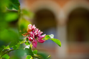 Image gallery image