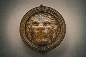 Image gallery image