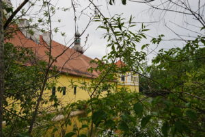 Image gallery image