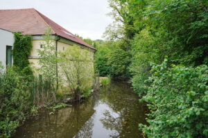 Image gallery image