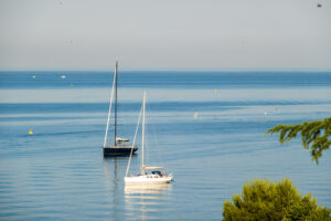 Image gallery image