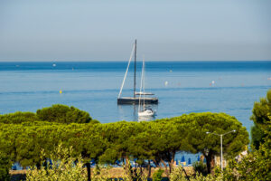 Image gallery image