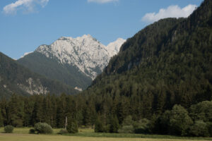 Image gallery image