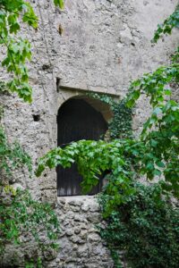 Image gallery image