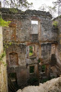 Image gallery image