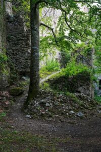 Image gallery image