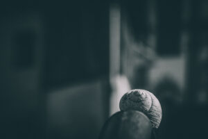 Image gallery image