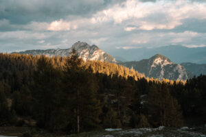 Image gallery image