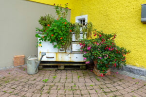 Image gallery image