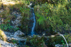 Image gallery image