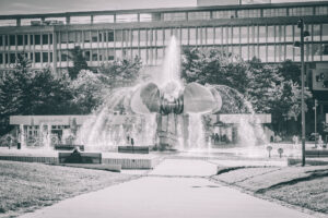 Image gallery image