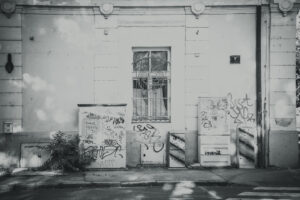 Image gallery image