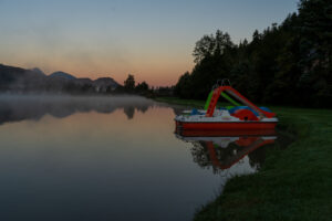 Image gallery image